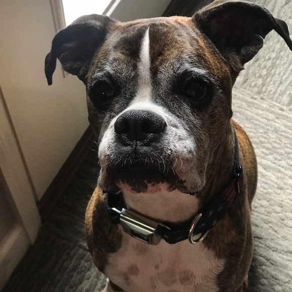 Meet your Posher, Claire - Picture 1 of 1